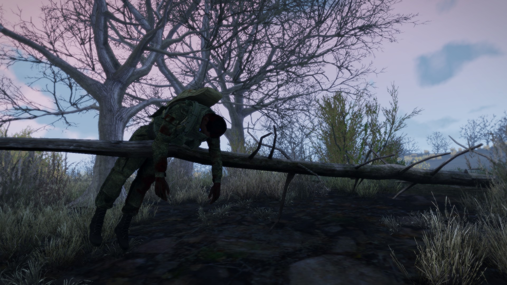 fer_dead_on_tree.jpg
